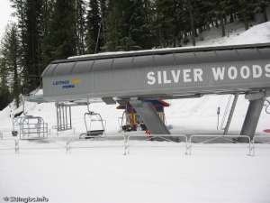 Silver Woods Express-Bottom Station