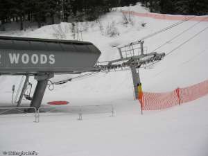 Silver Woods Express-Tower 1