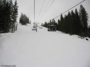 Silver Woods Express-Up Line