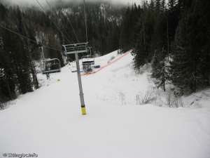 Silver Woods Express-Down Line