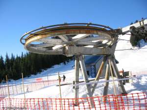 Blueberry Chair-Bottom Bullwheel