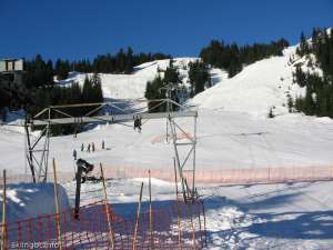 Blueberry Chair-Up Line