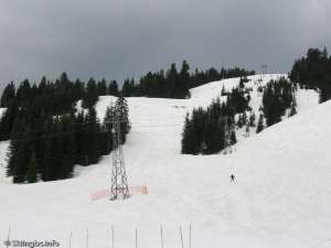 Blueberry Chair-Up Line