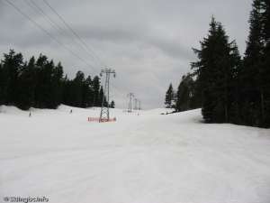 Blueberry Chair-Up Line