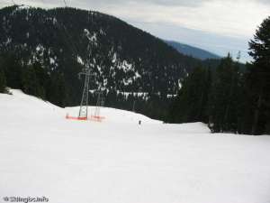 Blueberry Chair-Down Line