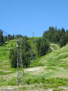 Blueberry Chair-Up Line