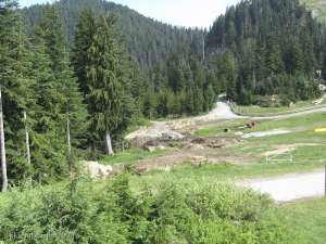 Greenway Chair-Liftline