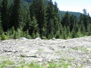 Inferno-Bottom Station