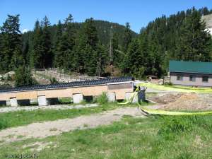 Magic Carpet-Liftline