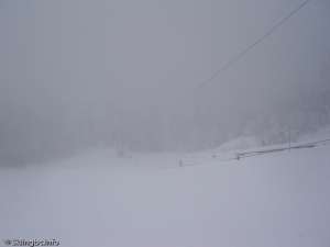 Paradise Ropetow-Down Line