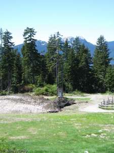 Paradise Ropetow-Down Line