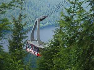 Red Skyride-Carrier. Photo By Kmart