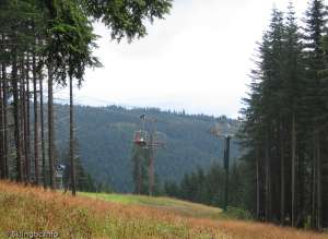 Screaming Eagle Express-Chairs on Line