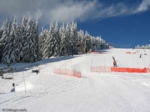 Screaming Eagle Express-Up Line