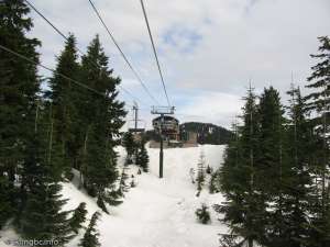 Screaming Eagle Express-Up Line