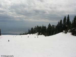 Screaming Eagle Express-Down Line