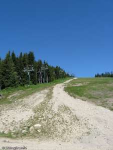 Screaming Eagle Express-Up Line