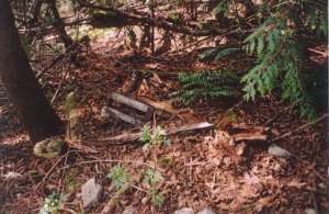 Skyline Chair-Remains