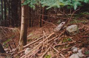 Skyline Chair-Tower Remains