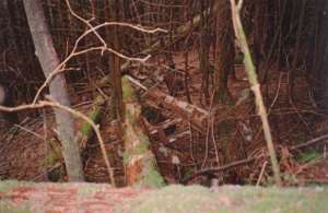 Skyline Chair-Old Tower