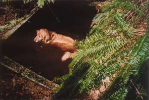 Skyline Chair-Counterweight Hole