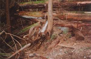 Skyline Chair-Tower Remains