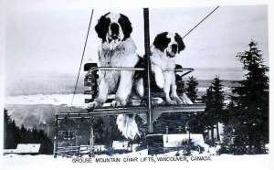 Skyline Chair-Credit: Teachski.com