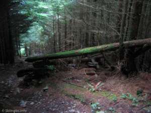 Skyline Chair-Liftline