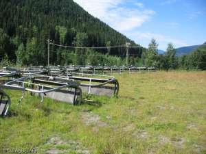 Burfield Quad-Chairs off line