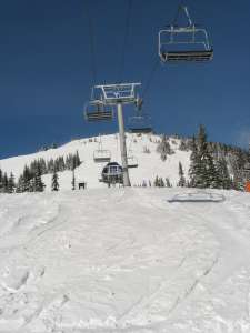 Elevation Quad-Top Terminal