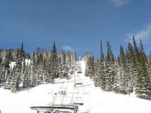 Elevation Quad-Liftline