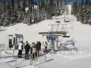 Elevation Quad-Bottom Terminal