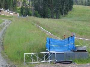 Magic Carpet-Liftline