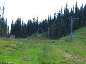 Morrisey Curve Platter-Up Line