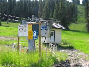 Morrisey Curve Platter-Bottom Station