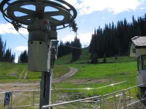 Morrisey Curve Platter-Bottom Station