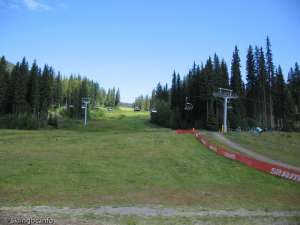 Sunburst Express-Up Line