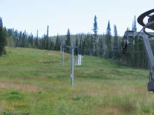 Village Platter-Up Line