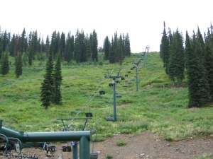 Silver King Double-Up Line