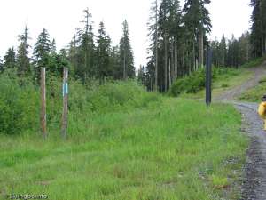 White Salmon Handle Tow-Top