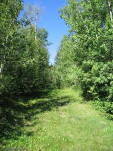 Canyon-Old Liftline??