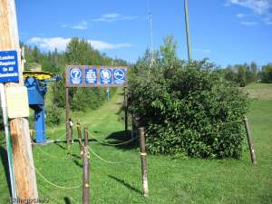 T-bar-Lift Lineup Maze