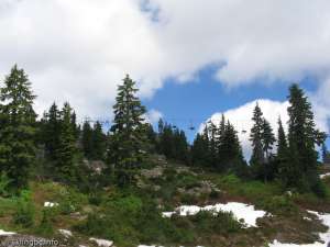 Brockton Chair-Up Line