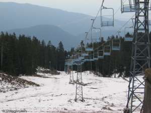 Lodge Chair-Down Line