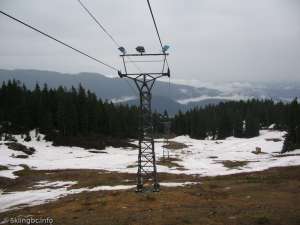 Lodge Chair-Down Line