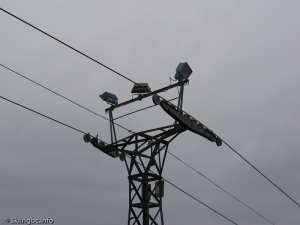 Lodge Chair-Towerhead