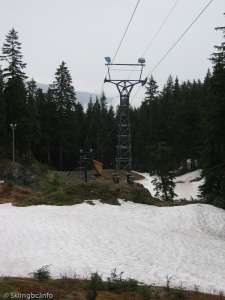 Lodge Chair-Down Line