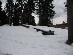 Bear Bowl Magic Carpet-Up Line