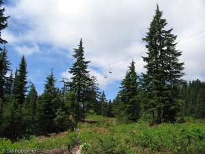 Mystery Peak Chair-Down Line