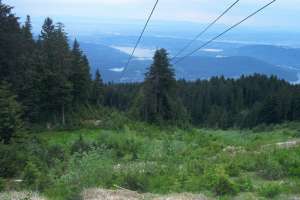 Ridge Chair-Down Line. Photo by Vancouverguy (Skiliftforum.com)